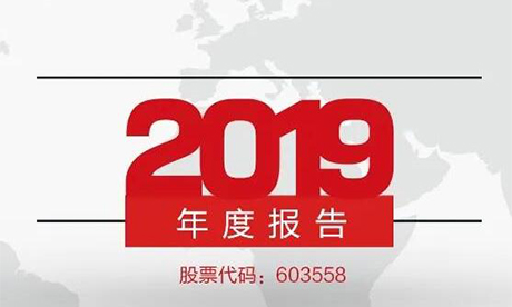 德赢VWIN集团2019年简报